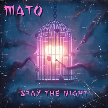 Stay The NIGHT-cover