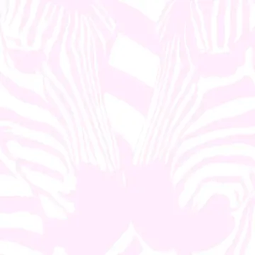 Zebra-cover