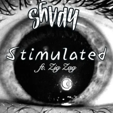 Stimulated (feat. Zig Zag)-cover