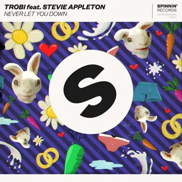 Never Let You Down (feat. Stevie Appleton)-cover