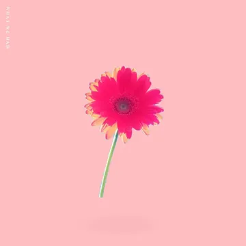 What We Had-cover