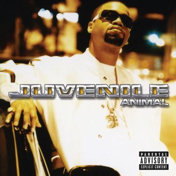 Animal-cover