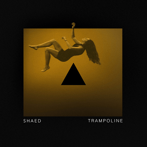Trampoline-cover