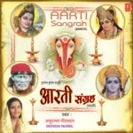 Sai Digambara-cover