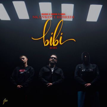 Skankovi Hibridi-cover