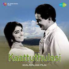 Vellichilankayaninjum Kondoru-cover