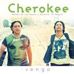 Vengo-cover