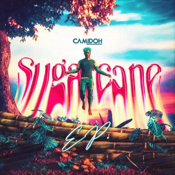 Sugarcane (Remix)-cover
