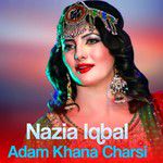 Lar Sha Bajaur Ta-cover