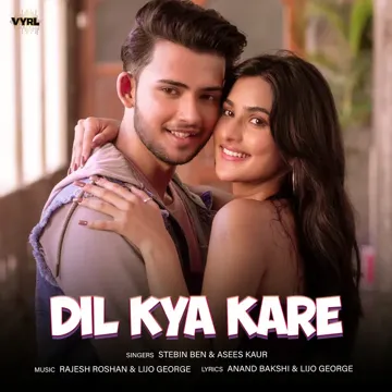 Dil Kya Kare-cover