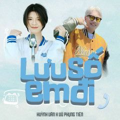 Lưu Số Em Đi (Đại Mèo Remix)-cover