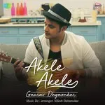 Akele Akele-cover