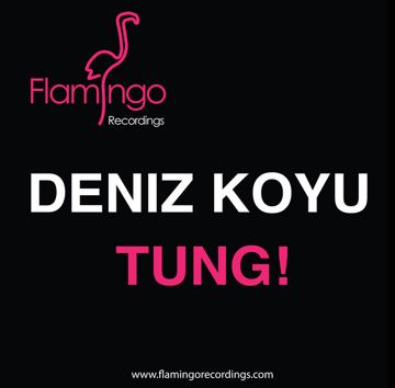 Elif-cover