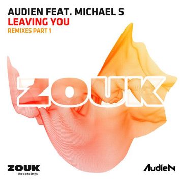 Leaving You (feat. Michael S.) [Thomas Newson Remix]-cover
