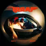 IDGAF-cover
