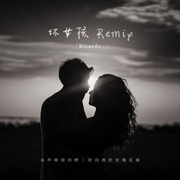 坏女孩Remix-cover