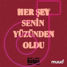 Her Şey Senin Yüzünden Oldu