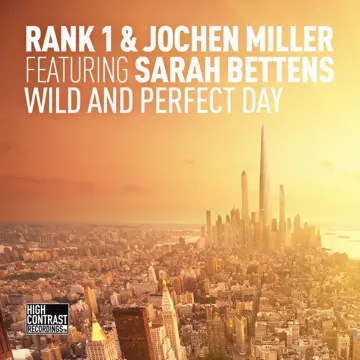 Wild and Perfect Day (Dub Mix)-cover
