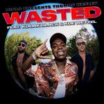 Wasted-cover