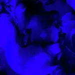 Down-cover