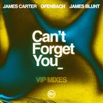Can't Forget You (feat. James Blunt)(James Carter VIP Remix)(Remix)-cover