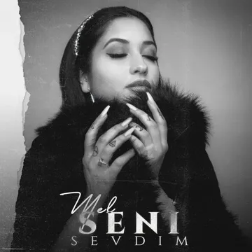 Seni Sevdim-cover