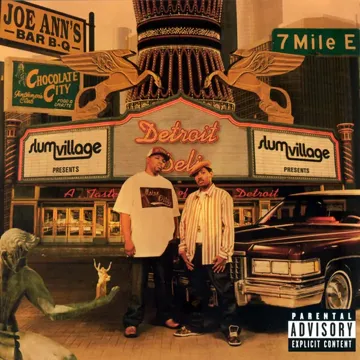 Closer-cover