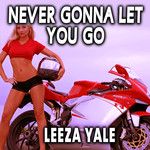 Never Gonna Let You Go-cover