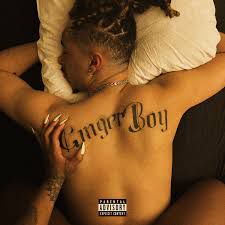 Bodyguard-cover