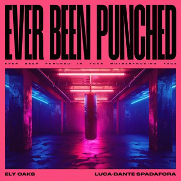 Ever Been Punched-cover