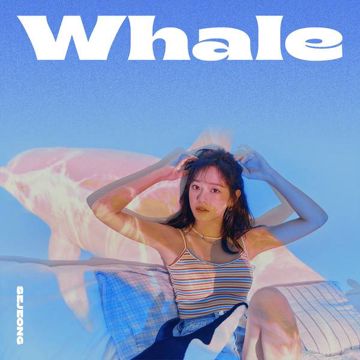 Whale-cover