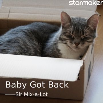 Baby Got Back-cover