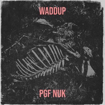 Waddup-cover