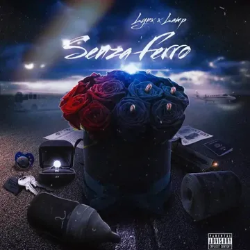 Senza Ferro-cover
