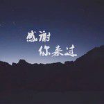 感谢你来过-cover