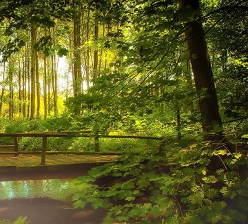 Peaceful,Inspiring Music