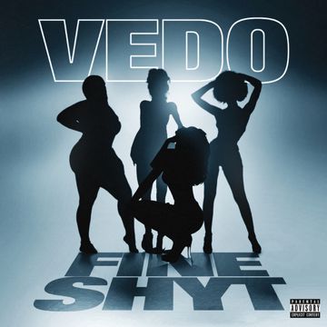 Fine Shyt-cover