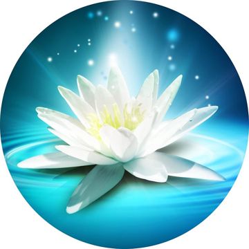 TRẢ NỢ NGƯỜI TA