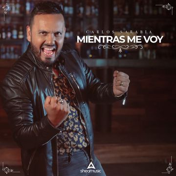 Mientras Me Voy-cover