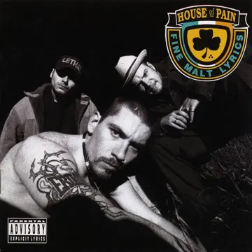 Jump Around (Pete Rock Remix)-cover