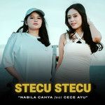 Stecu Stecu