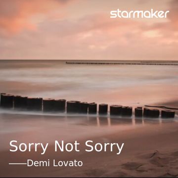 Sorry Not Sorry-cover