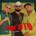 Pocotó-cover
