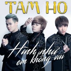 Hình Như Em Không Vui-cover