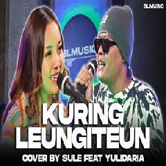 Kuring Leungiteun-cover