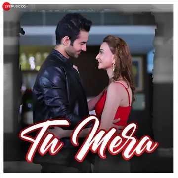 Tu Mera-cover
