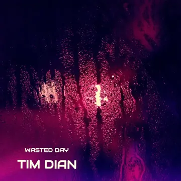 Wasted Day-cover