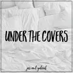 Can&039;t Help Falling in Love-cover