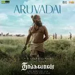 Aruvadai-cover