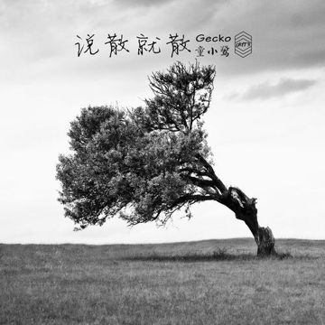 Gecko Ft.Tina童小鹭-SSJS（Gecko Remix）-cover